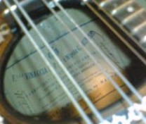 mandolin2.jpg